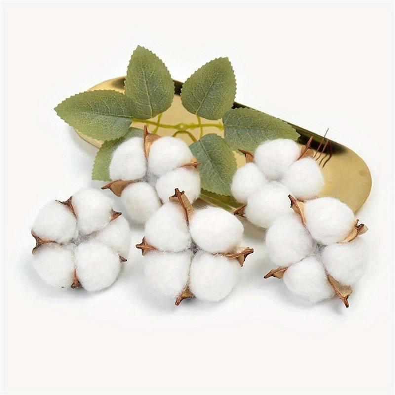 10Pcs White Cotton Florist Sup - Florist Wreath Supply incelemesi ve fiyatı