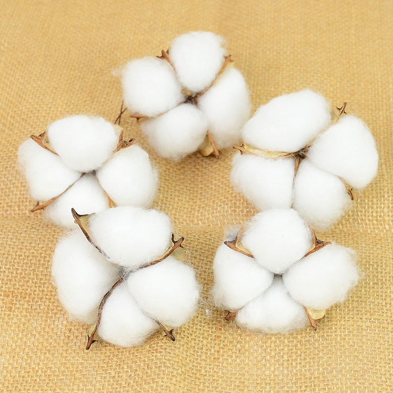 10Pcs White Cotton Florist Sup - Florist Wreath Supply incelemesi ve fiyatı