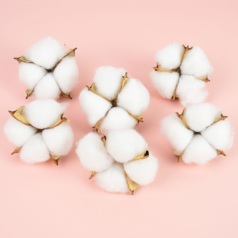 10Pcs White Cotton Florist Sup - Florist Wreath Supply incelemesi ve fiyatı