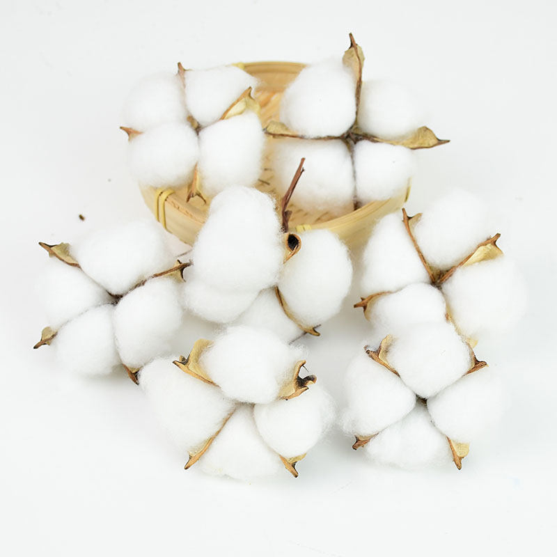 10Pcs White Cotton Florist Sup - Florist Wreath Supply incelemesi ve fiyatı