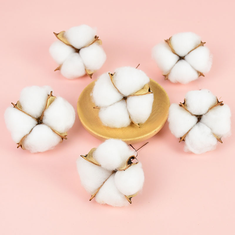 10Pcs White Cotton Florist Sup - Florist Wreath Supply incelemesi ve fiyatı
